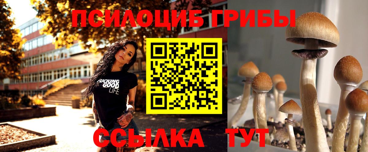 Псилоцибиновые грибы Psilocybe Семилуки